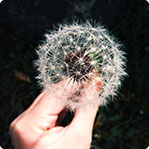 网页攻击器教程